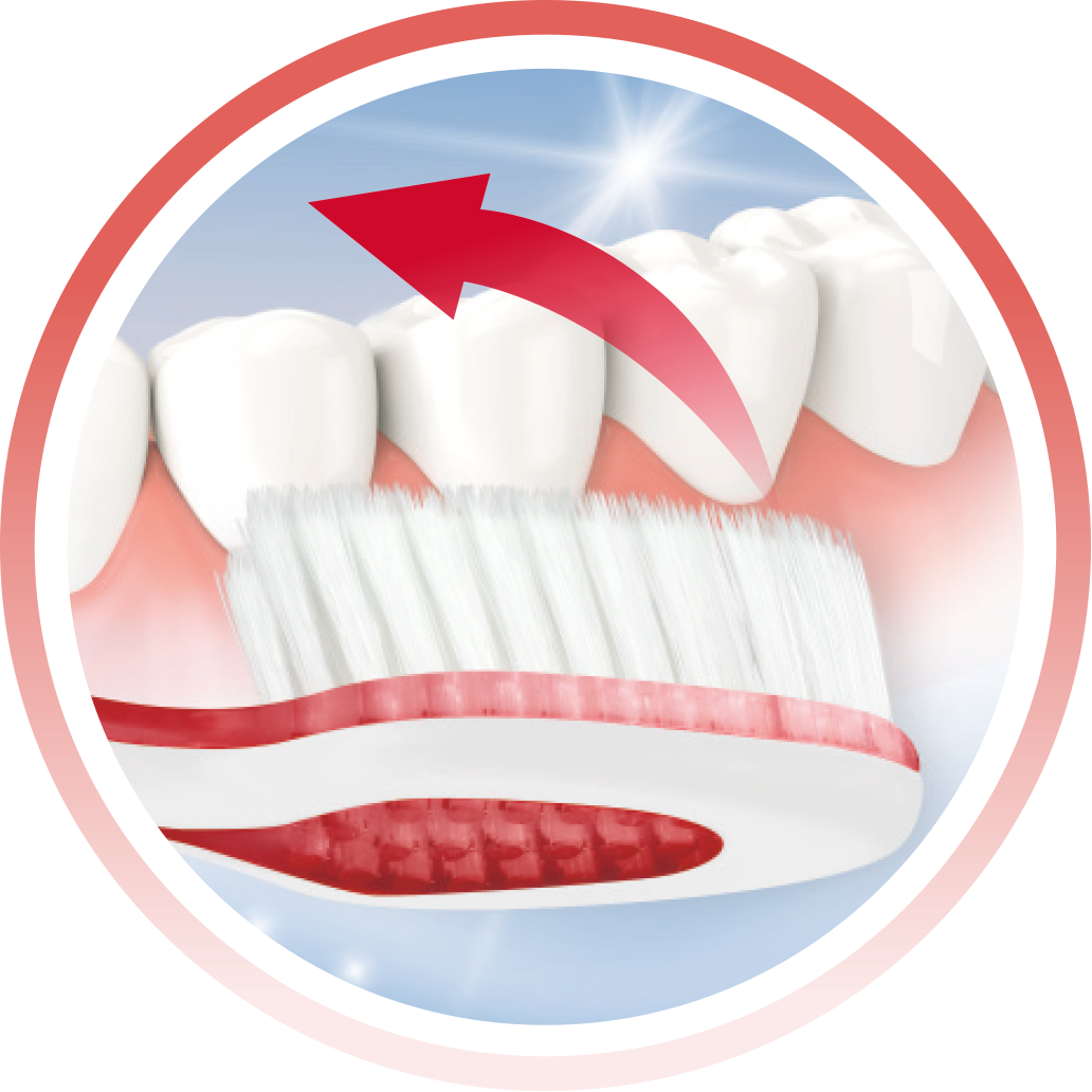 LACALUT® 8x Micro-Fine Bristle Gingivitis Toothbrush
